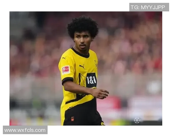 多特蒙德为阿德耶米开出年薪720万欧元的丰厚合同